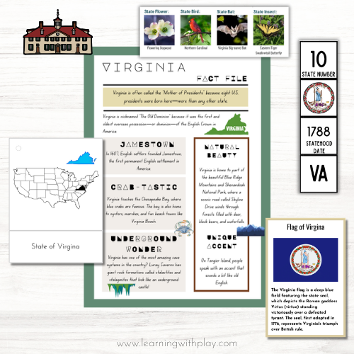 USA States Lapbook #1