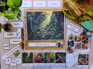 Rainforest Biome Language Work Bundle