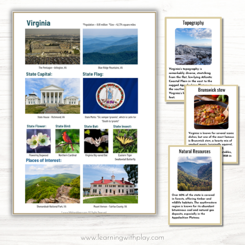 USA States Lapbook part 3 and 4 BUNDLE