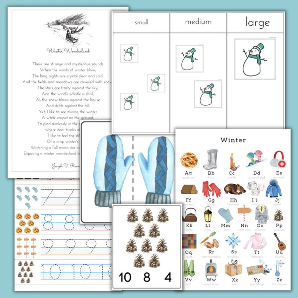 Winter Unit Study