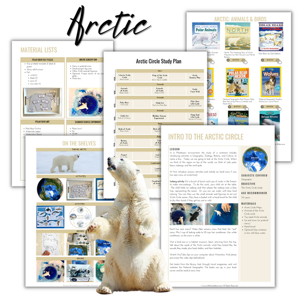 Arctic Circle Study