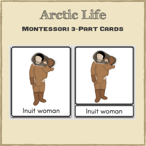 Arctic Life 3-Part Cards