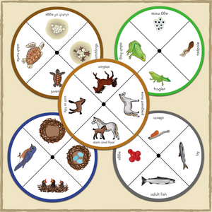 Five Montessori Vertebrate Animal Life Cycles - Mammal, Bird, Fish, Amphibian, and Reptile