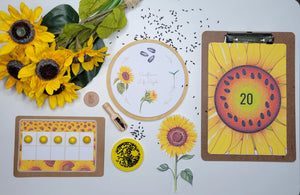 Summer Activity Bundle