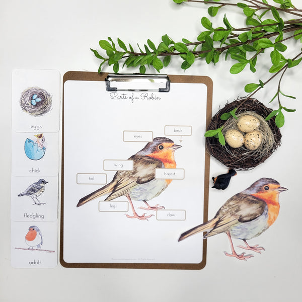 Spring Activity Bundle