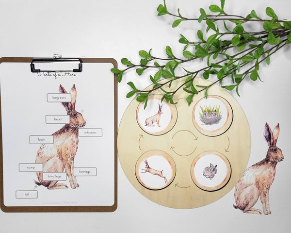 Spring Activity Bundle