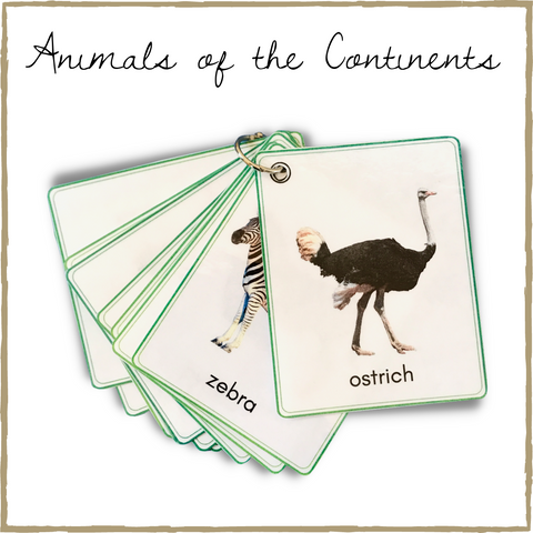 Montessori Continents and Animals Pocket Cards