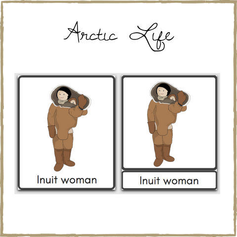 Arctic Life 3-Part Cards