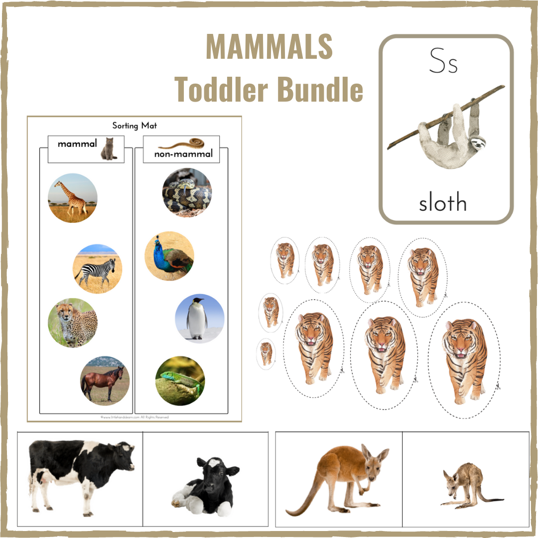 Mammals Toddler Bundle