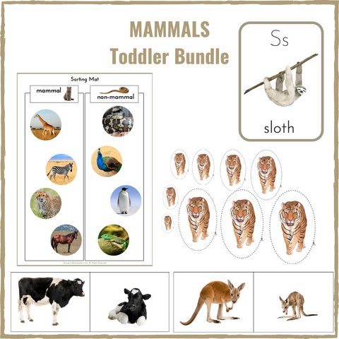 Mammals Toddler Bundle