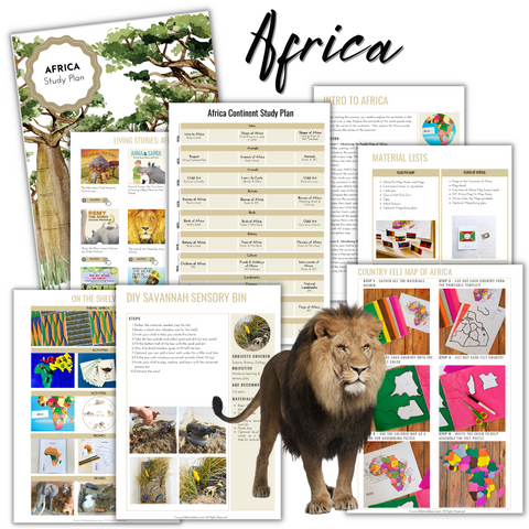 Africa Continent Study