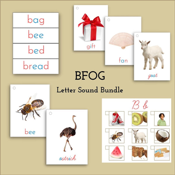 Language Bundle - Letters BFOG