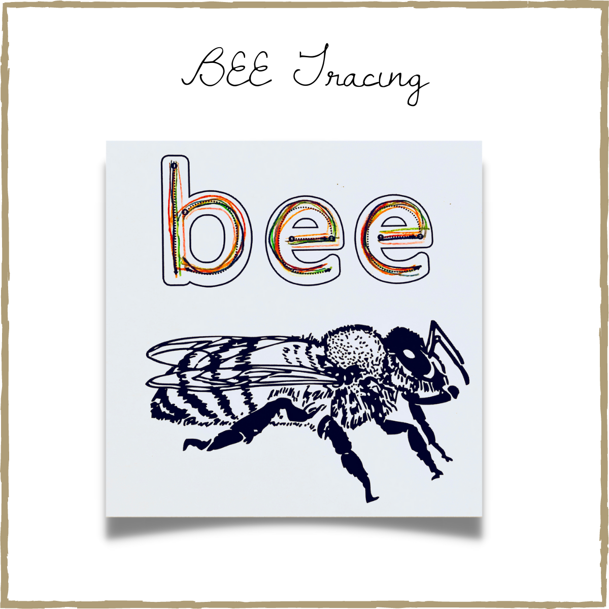 Honey Bee Pre-Writing Worksheets