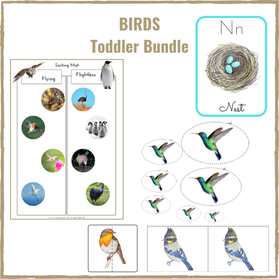 Bird Toddler Bundle