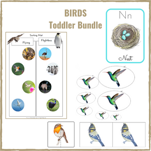 Bird Toddler Bundle