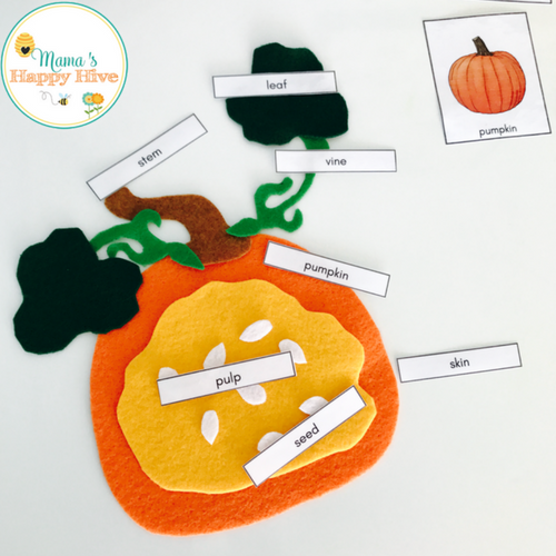 Parts of a Pumpkin Puzzle - Printable Template