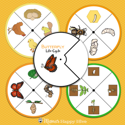 10 Montessori Life-Cycle Sets Bundle