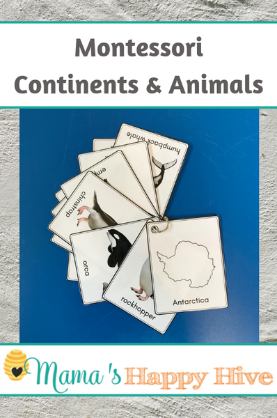 Montessori Continents and Animals Pocket Cards
