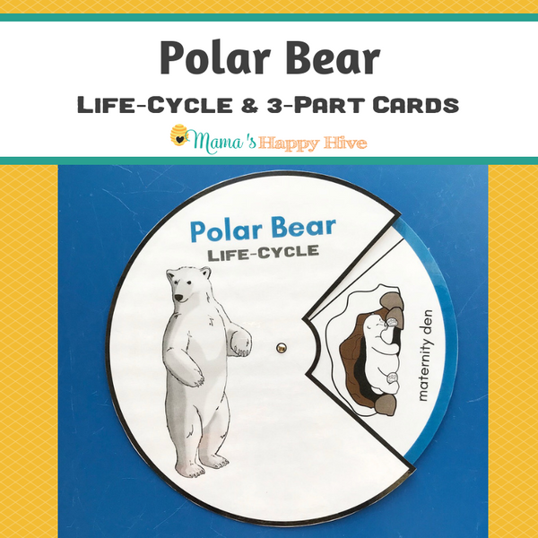 Polar Bear Life-Cycle